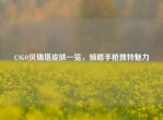 CSGO贝瑞塔皮肤一览，领略手枪独特魅力
