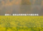 威虎CF，威虎山的独特魅力与精彩体验