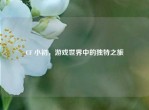 CF 小初，游戏世界中的独特之旅