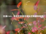 花浦CSGO，电竞世界里花浦区这颗璀璨明珠