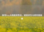 探寻Pubg斗鸡真实姓名，绝地求生斗鸡究竟是谁