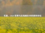 毛磊，CSGO 世界与北海舰队中的独特存在