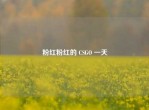 粉红粉红的 CSGO 一天