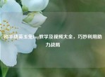 和平精英玉兔bug教学及视频大全，巧妙利用助力战局