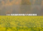 CSGO 短尾猫的独特魅力与精彩瞬间