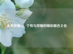 王者荣耀hg，个性与荣耀的精彩融合之名