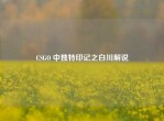CSGO 中独特印记之白川解说
