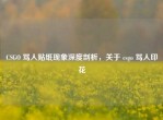 CSGO 骂人贴纸现象深度剖析，关于 csgo 骂人印花