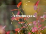 CF保存的回放如何切视角