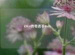 CSGO传奇选手Wolfy