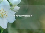 LOL纯肉符文搭配指南
