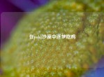 在pubg沙漠中逐梦吃鸡
