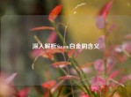 深入解析Steam白金的含义