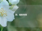 劫，暗影传奇
