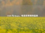 CSGO 与 Qiuqiu，电竞世界独特篇章