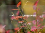 CSGO 中 happvic 的独特游戏印记