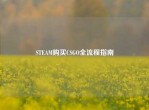 STEAM购买CSGO全流程指南