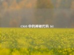 CSGO 中的神秘代码 161