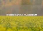 探索绝地求生中Hak Pubg的独特元素