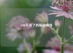 LOL不见了的原因探寻