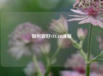 如何做好STEAM课程