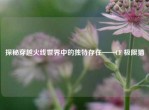探秘穿越火线世界中的独特存在——CF 极限猫