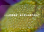 PUBG 游戏等级，见证成长与实力的标尺
