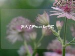深入了解Steam Key格式