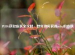 PUBG获取皮肤全攻略，教你如何获得pubg的皮肤