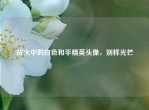 战火中的白色和平精英头像，别样光芒