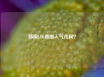 韩国LOL直播人气几何？