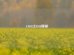 CSGO之EGB探秘