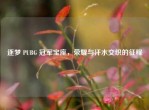 逐梦 PUBG 冠军宝座，荣耀与汗水交织的征程