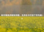 和平精英改昵称攻略，无改名卡打造个性专属 ID