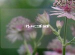 对cf050222的探索