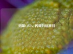 钢盔CSGO，闪耀的玩家们