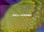 探秘3338 cf的神秘面纱