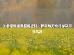 王者荣耀重复获得皮肤，惊喜与无奈并存及后续情况