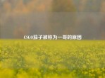 CSGO茄子被称为一哥的原因