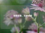 英雄联盟，筑梦成城