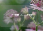 CSGO 阿杜（dupreeh）的泪