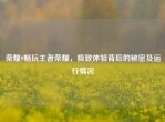 荣耀9畅玩王者荣耀，极致体验背后的秘密及运行情况