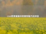 CSGO世界里雨伞的独特魅力及拼音
