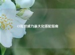 CF乱世威力更大化搭配指南
