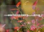 CSGO画面失真问题全解析及csgofxaa反失真