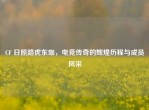 CF 日照路虎东珈，电竞传奇的辉煌历程与成员风采