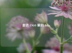走进 CSGO 里的 Julia