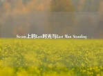Steam上的Last时光与Last Man Standing