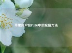 苹果用户在PUBG中的充值     