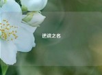 逆战之名